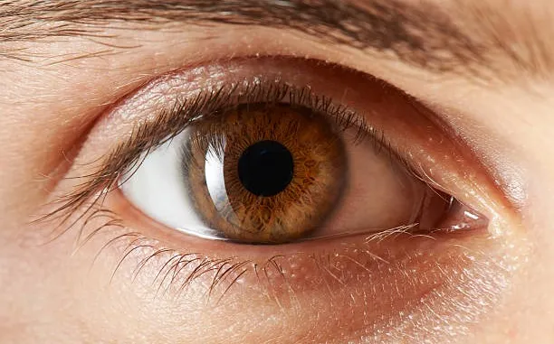 eye