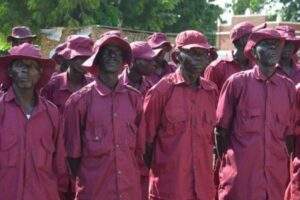 11403 Members of CJTF