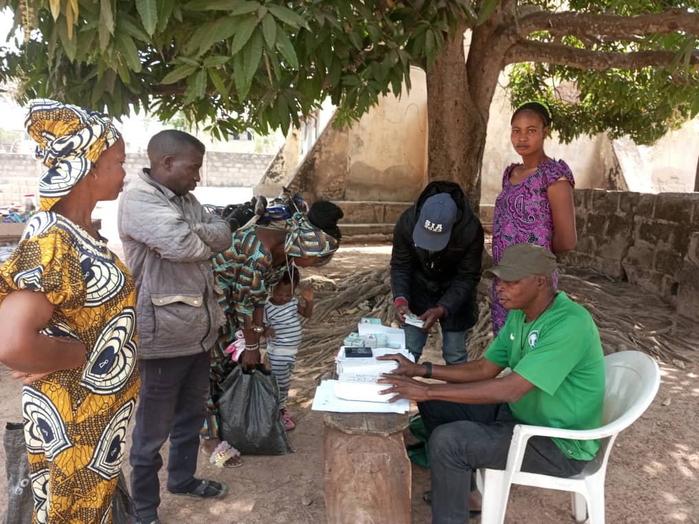 12082 pvc collection amid extension ondo records low turn out