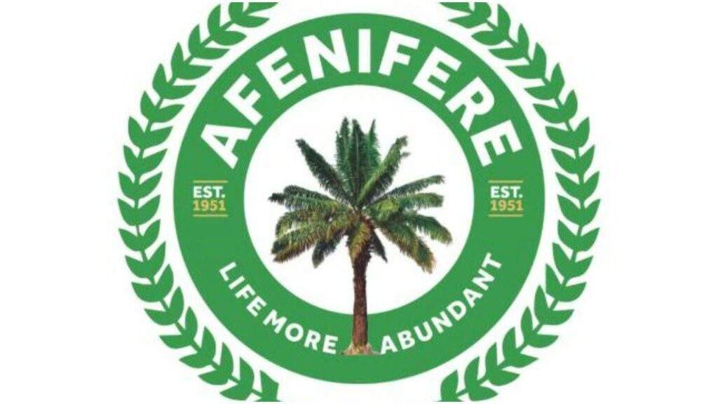12104 Afenifere