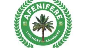 12104 Afenifere