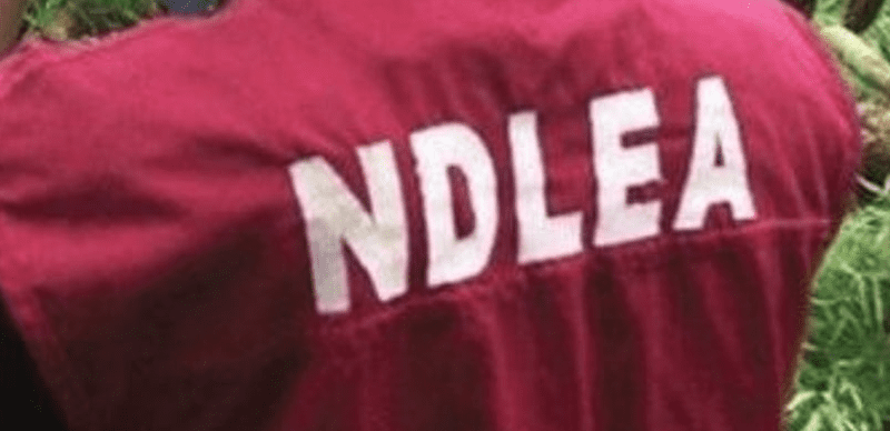 12313 ndlea.fw 