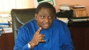 13245 Femi Adesina