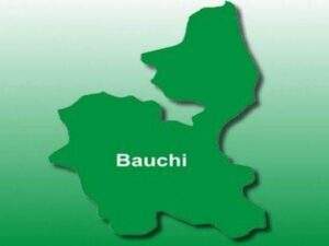 13354 bauchi state map