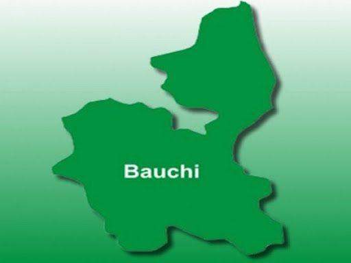 13354 bauchi state map