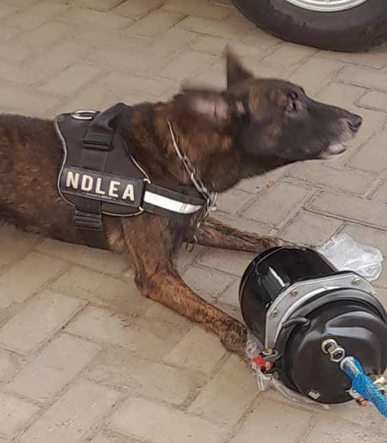 13969 ndlea bursts trans border cartel seizes skunk meth in compressors