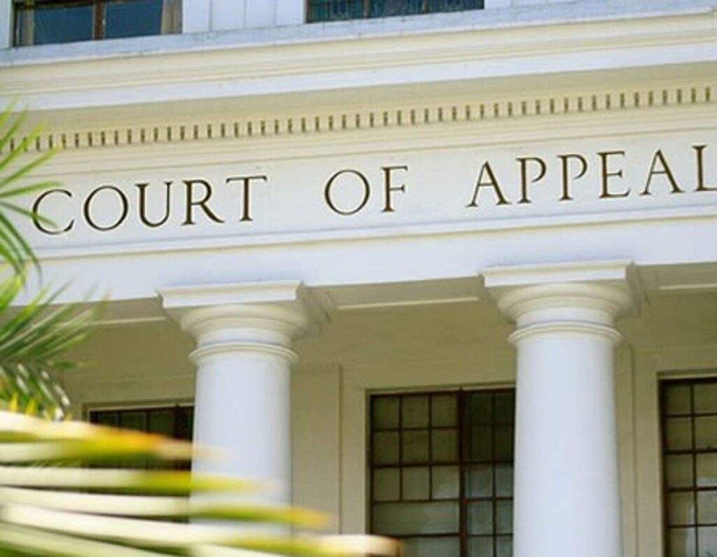 14155 appeal court reinstates murtala as katsina pdp house of reps candidate