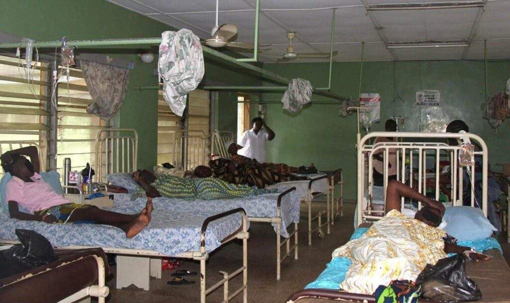 3988 csos carpet govt on state of primary health care in nigeria