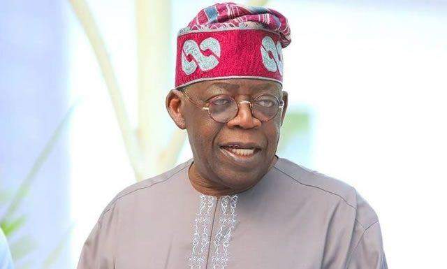 5024 why apc chieftains arent campaigning for tinubu momodu
