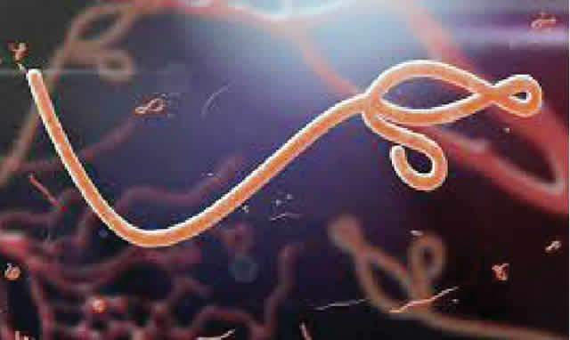 5358 uganda declares end to ebola outbreak