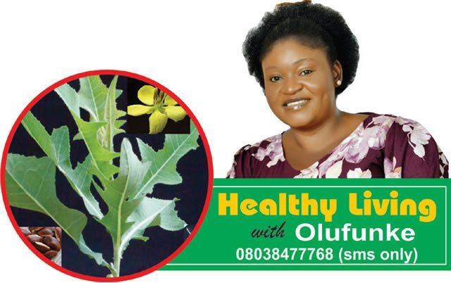 6530 benefits food sources of vitamin b1