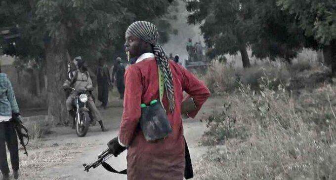 6905 terrorists burn catholic priest alive in niger state