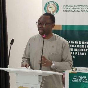 8563 2023 why nigeria must conduct peaceful elections ecowas commission
