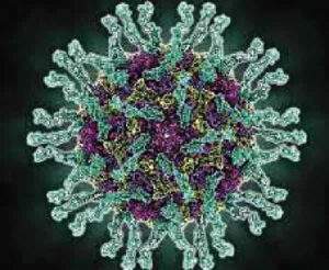 14909 Poliovir