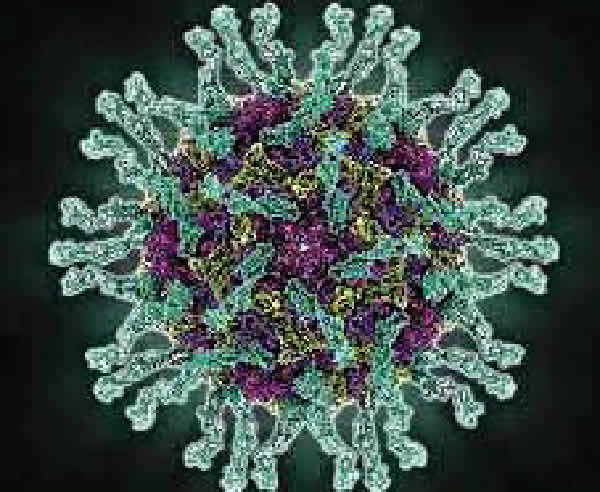 14909 Poliovir