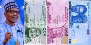 15523 new naira notes expert weighs options ahead buharis 7 day plan