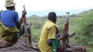 15764 terrorists murder of 41 people jolts katsina government
