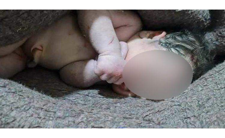 16561 The baby
