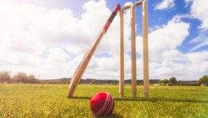16861 cricket