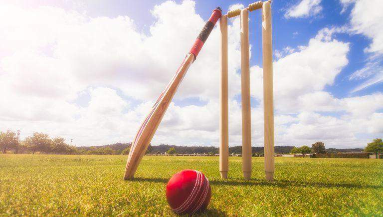 16861 cricket