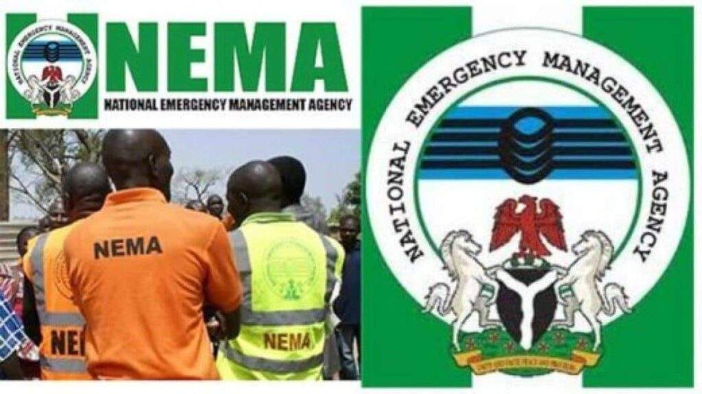17264 2023 election nema calls for proactive measures to forestall violence