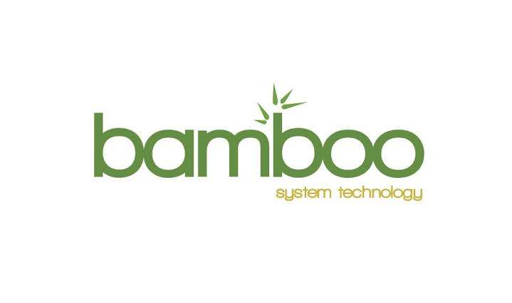 17745 Bamboo System Limited