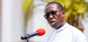 17863 okowa 2.fw