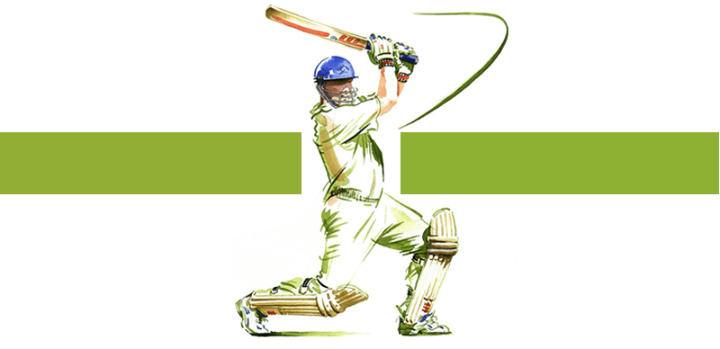 17941 Cricket
