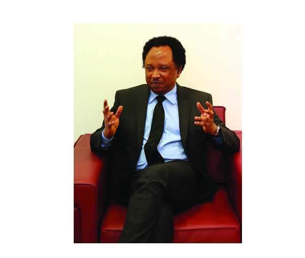 18245 Shehu sani