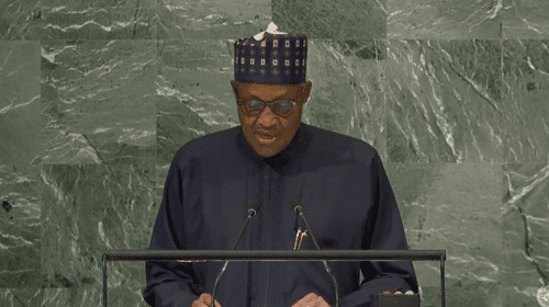 18313 Buhari at UNGA77