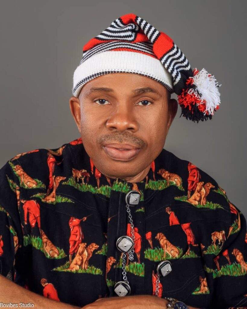 20026 apc iroakazi did not participate in abia assembly primaries adighibe claims