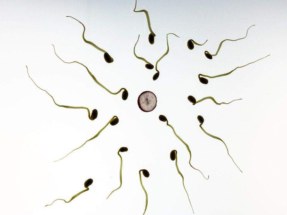 20372 infertility
