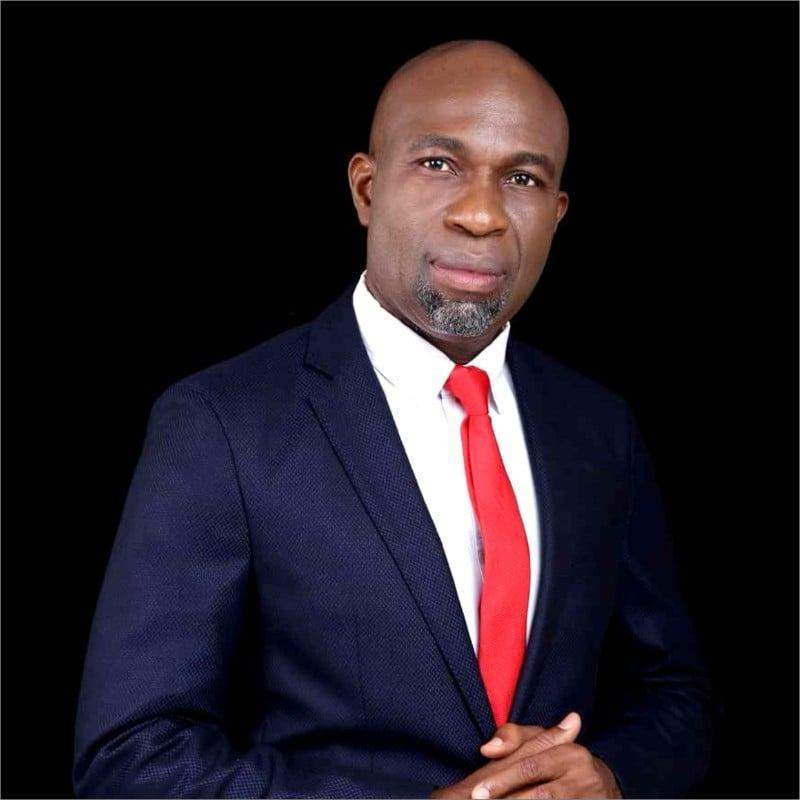 22560 election result inec declares lps nwokocha winner of abia central senatorial seat