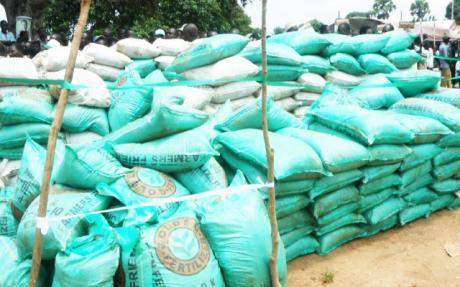 24707 govt planning fertilizer subsidy for farmers report