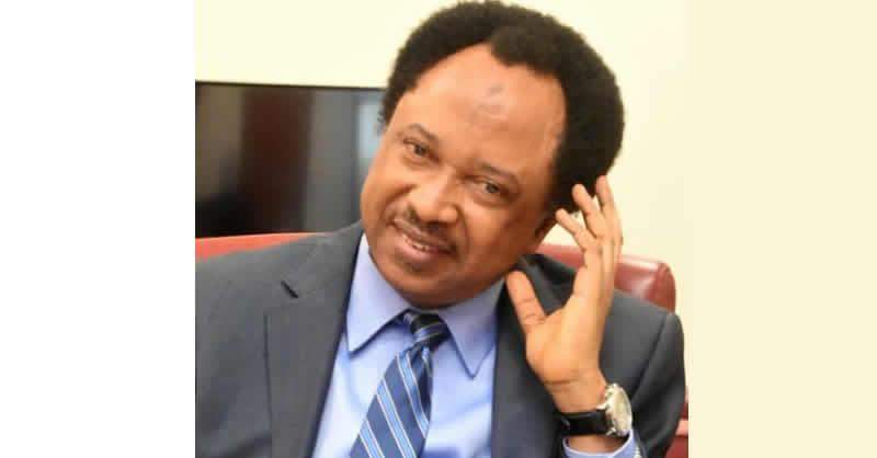 24871 what emefiele will experience if buhari leaves office shehu sani