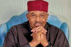 24890 inec must be fair in march 11 polls niger pdp