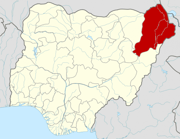 27223 suspected boko haram terrorists kill 29 fishermen in borno