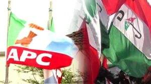 27369 gombe pdp wants apc campaign coordinator arrested for threatening parents