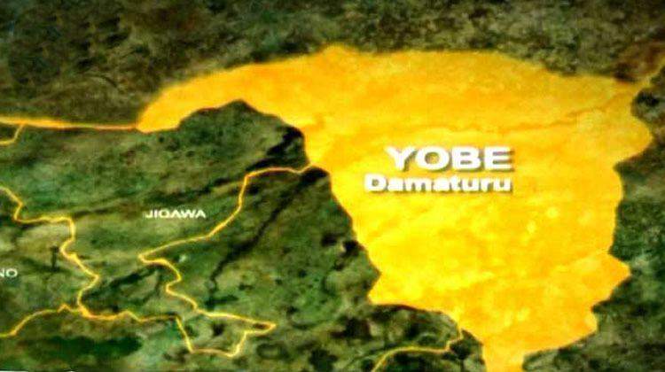 29167 yobe lg auditor general jailed five years for fraud