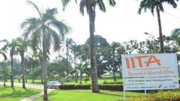 29443 ecobank iita empower 16000 youths in agriculture