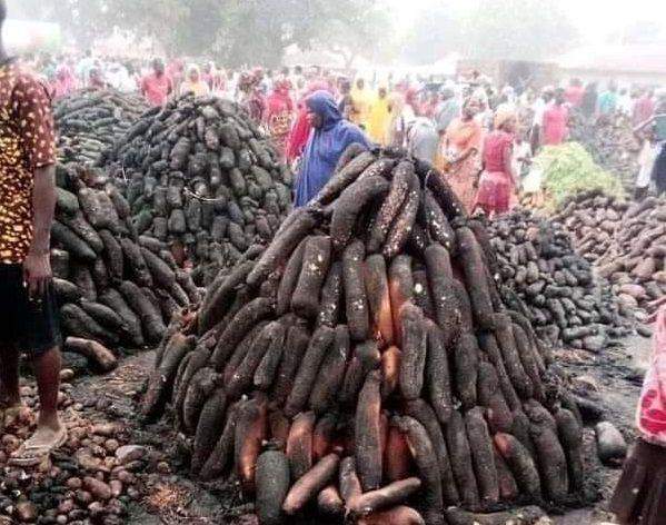 29779 nigeria accounts for over 70 of yams produced globally nrcri