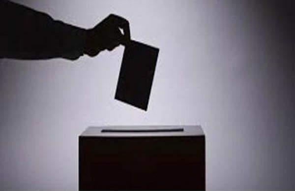 31262 gov election 2023 observer group lauds lagos peaceful election laments low turnout