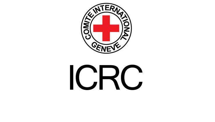 32139 red cross says two kidnapped workers released in mali