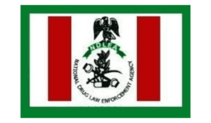33448 fg approves n5 16bn to build 192 flats for ndlea officials