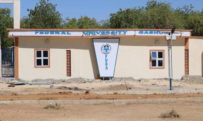 37753 yobe federal varsity lecturer was flogged by thugs not students registrar