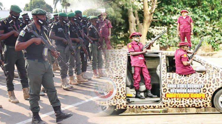 39409 police amotekun arrest five indian hemp farmers in ekiti