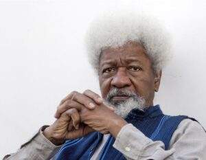 40884 peter obis emergence consequence of endsars movement wole soyinka