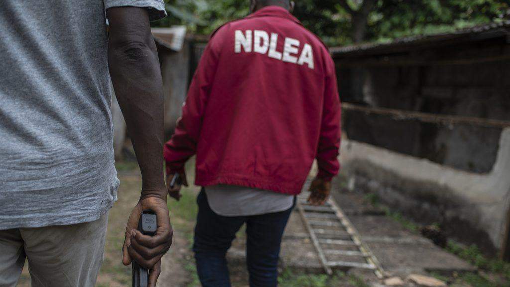 41364 in 2 months ndlea arrests 352 suspects seizes 2 1 tonnes of illicit drugs in kano