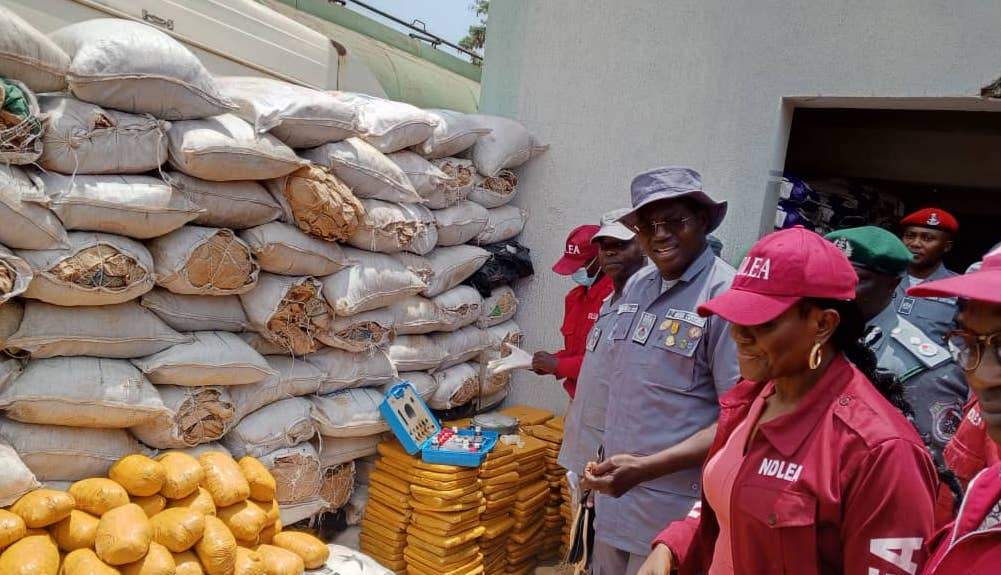 41529 ogun customs intercept 21 trucks of smuggled rice n98m cannabis