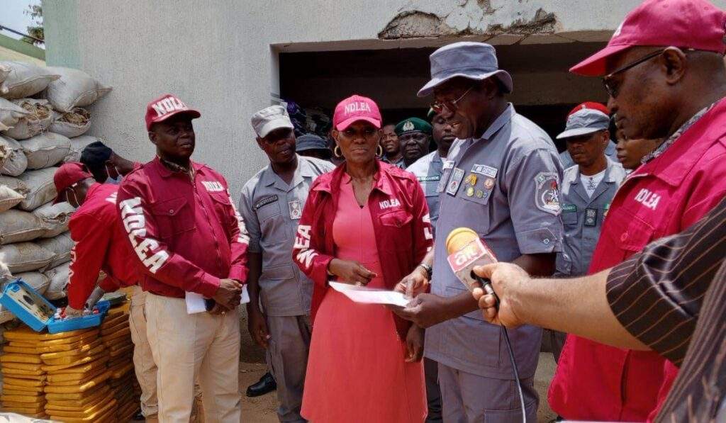 42098 customs hands over n98m worth of cannabis to ndlea in ogun photos